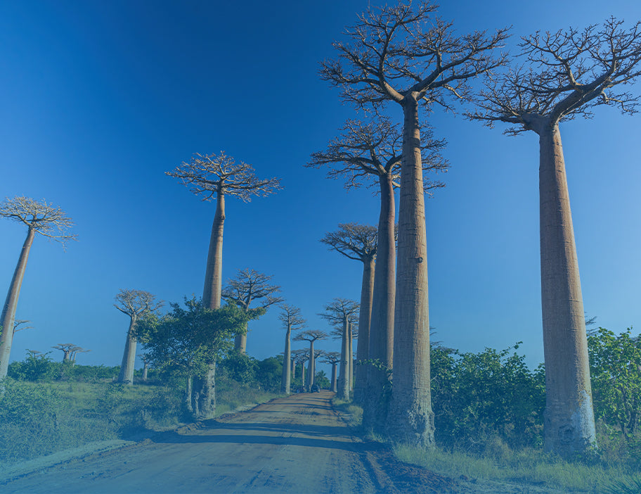 Madagascar 20GB 30 Days