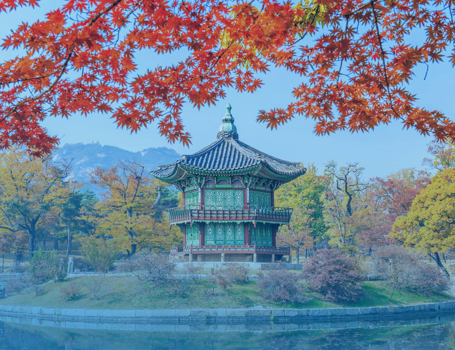 South Korea 1GB 7Days